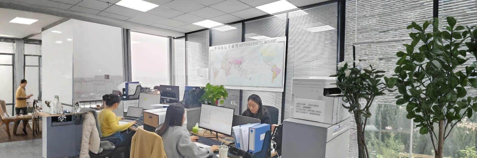 Full Customization Service